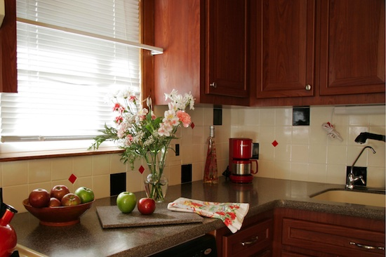 Environmental friendly ideas for refacing your kitchen cabinets