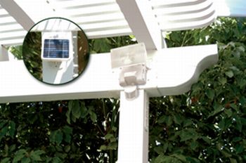 flood light powered by the sun