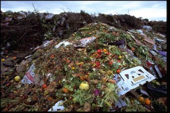 food waste