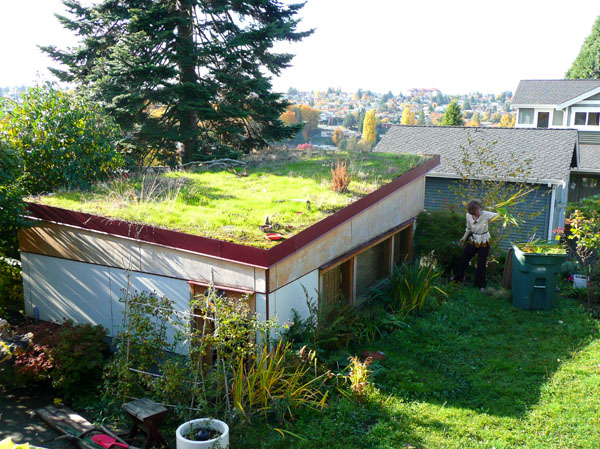 Garage green roof in Mount Baker