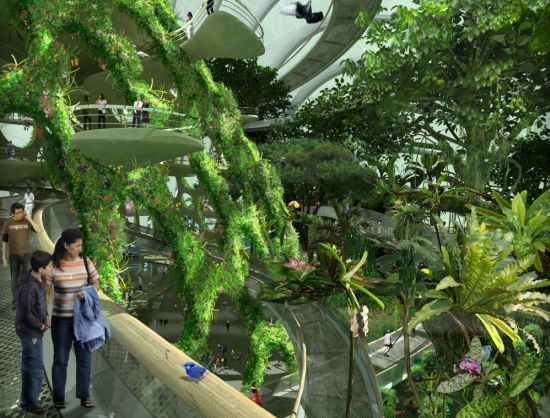 gardens by the bay 4