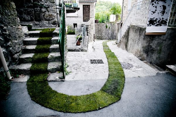Grass carpet winds through a french village