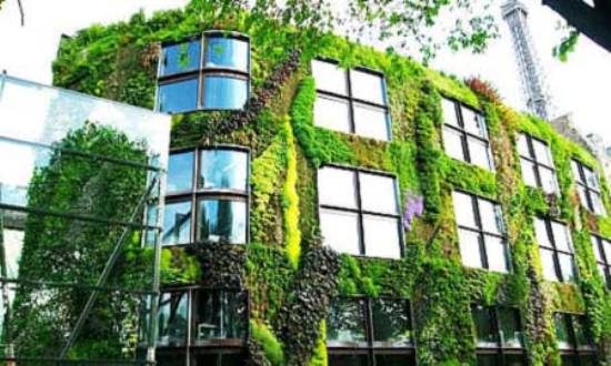 gree walls