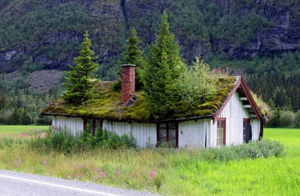 Green roof house Norway