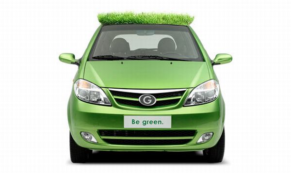 Green Roofs on Cars