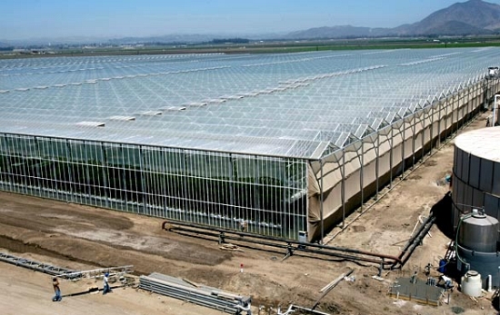greener greenhouses 1