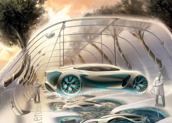 grow a mercedez 7