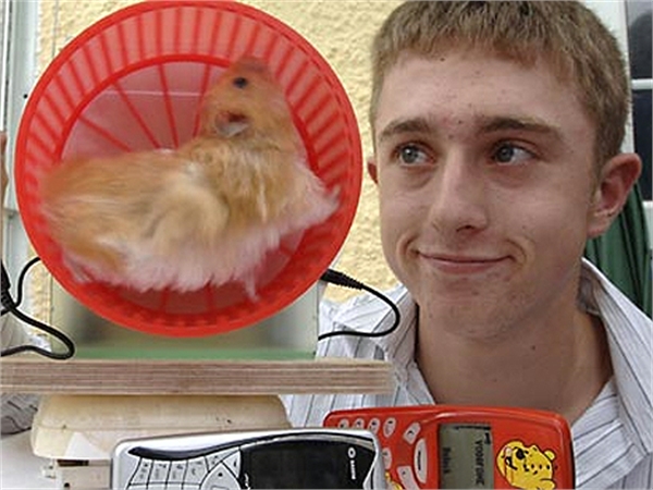 Hamster-Powered Cell Phone Charger