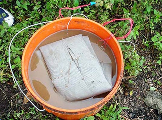 harvard bacteria battery 2