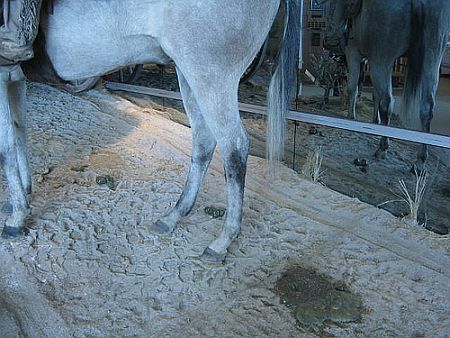 horse dung to produce electricity