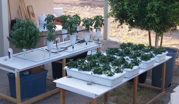 Hydroponics system