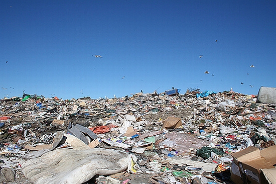 landfill
