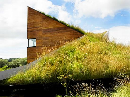 landhouse meadow roof 1