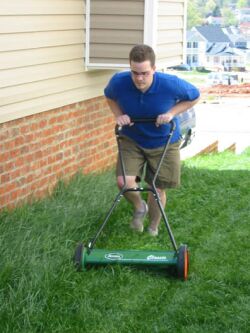 lawn no more needs mowing