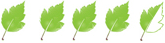 leaf9