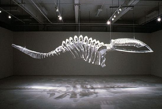 like a dinosaur2