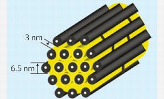 lithium sulfur battery