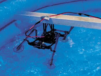 lizard robot walks on water