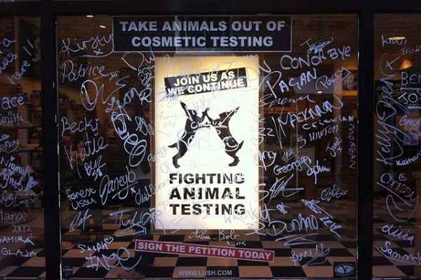 Lush Cosmetics Launches War on Animal Testing…But Did They Go Too Far?