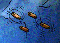 magnetic microbes