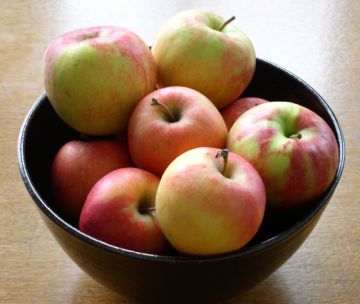 making paper from apples 9