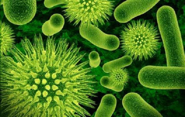 6 - Ways bacteria can be used to help better the environment - Ecofriend