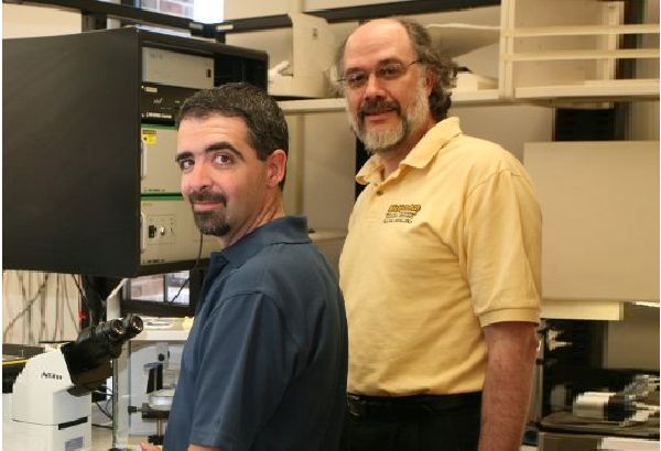 Michigan Tech Breakthrough Could Slash R&D Time for Next Generation of Hydrogen Fuel Cells