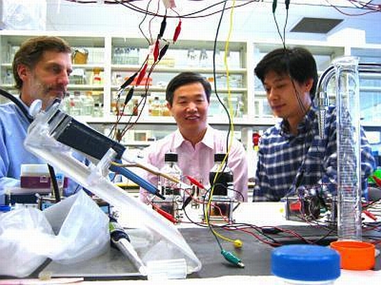 microbial electrolysis