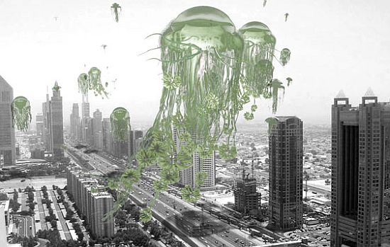 migrating floating gardens 3