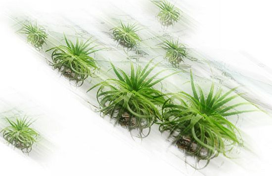migrating floating gardens 5