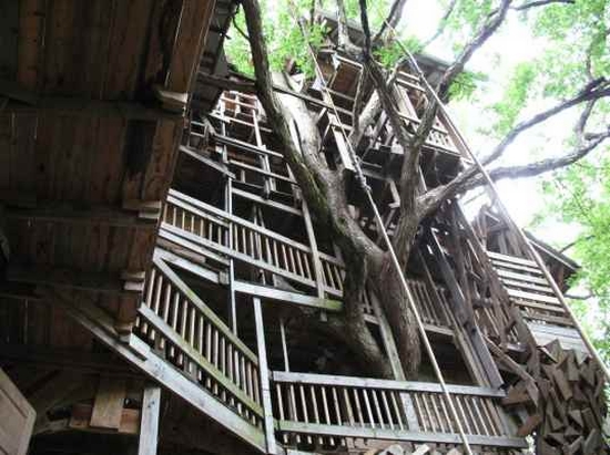 ministers treehouse 3
