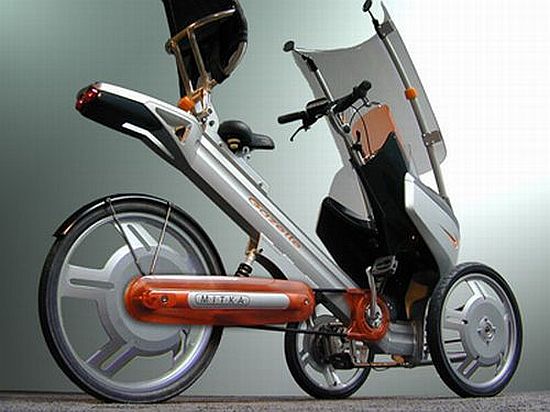 eco trike