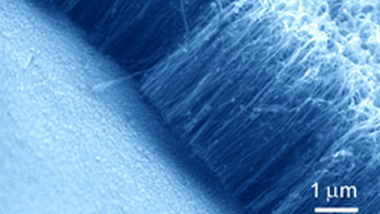 nanosensors