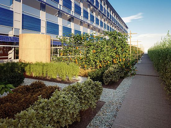 net zero co2urt by hok 3