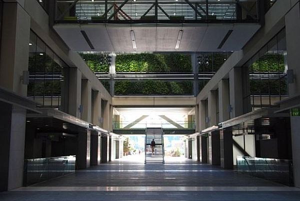 new zealands largest living wall 1