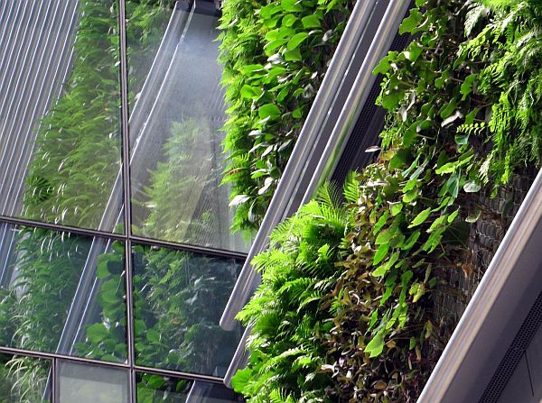 new zealands largest living wall 2