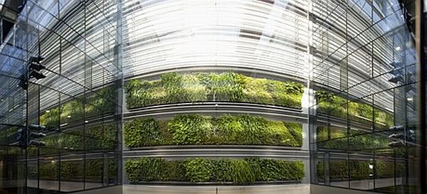 new zealands largest living wall 3
