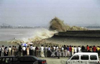 new software to predict a tsunami faster