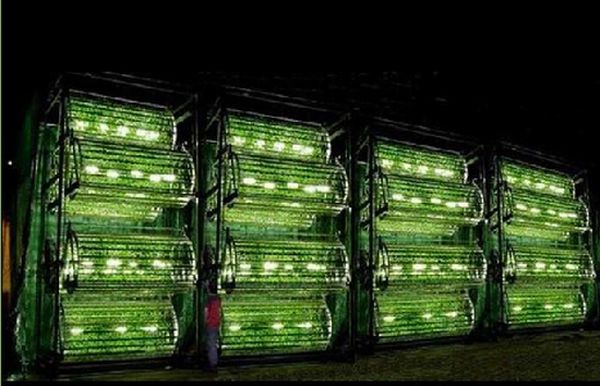 Omega Hydroponic Garden saves energy and water