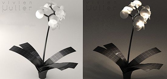orchid lamp 5