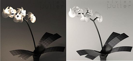 orchid lamp 6