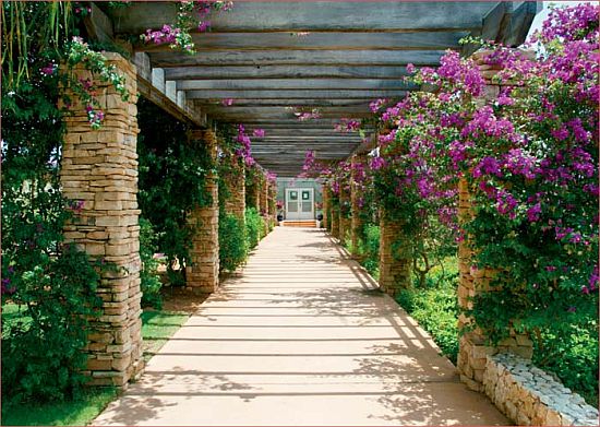organic garden at your doorstep