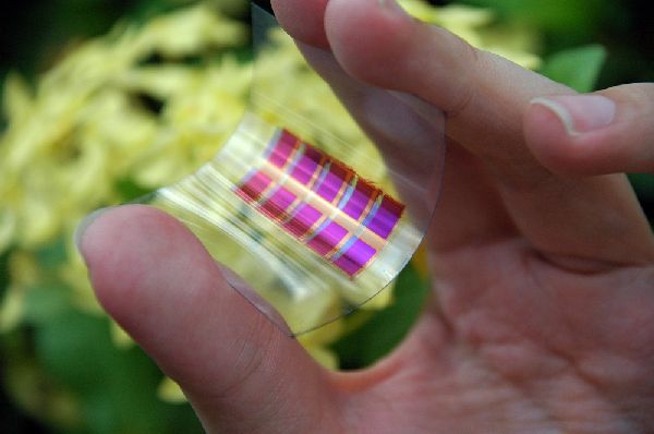 Organic solar cell