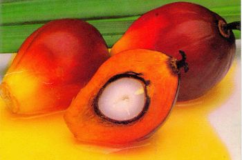 palmoil