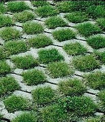 Permeable Paving Solution