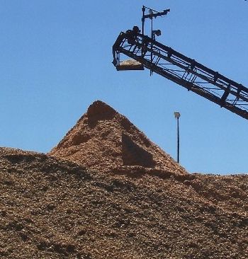 pine wood chips ready to produce new bio oil 9