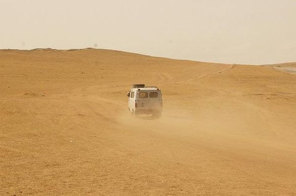 Planting Trees in the Mongolian Desert