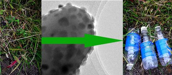 Plastics from Biomass