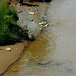 polluted drinking water2 9