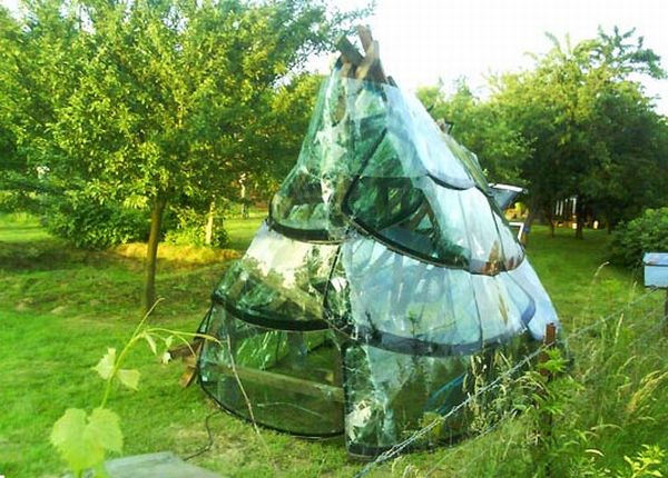 Recycled Windshield Greenhouse